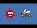 Todos contra o Coronavírus e a Dengue