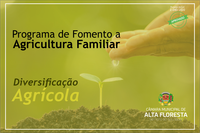 Câmara aprova crédito especial para a diversificação agrícola