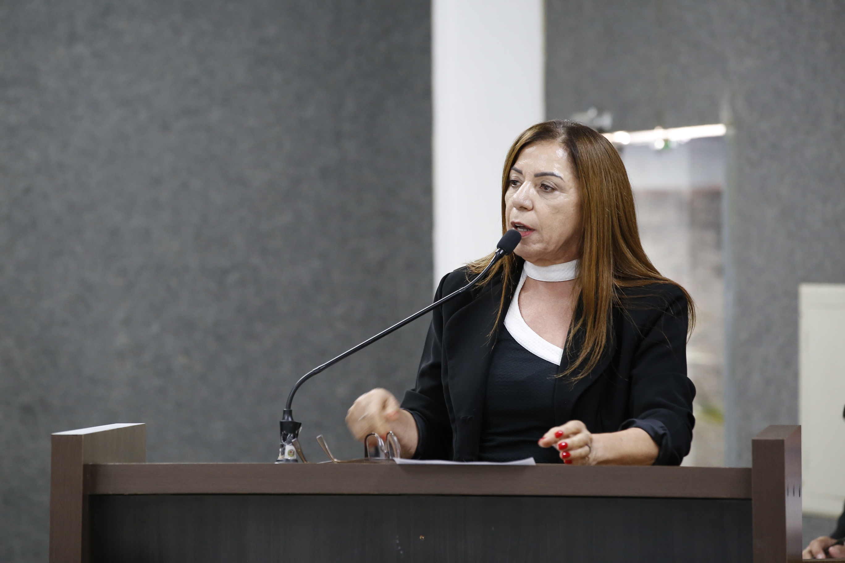 Câmara aprova indicação da vereadora Elisa Gomes para aquisição de terreno e criação de área de lazer no bairro São José Operário