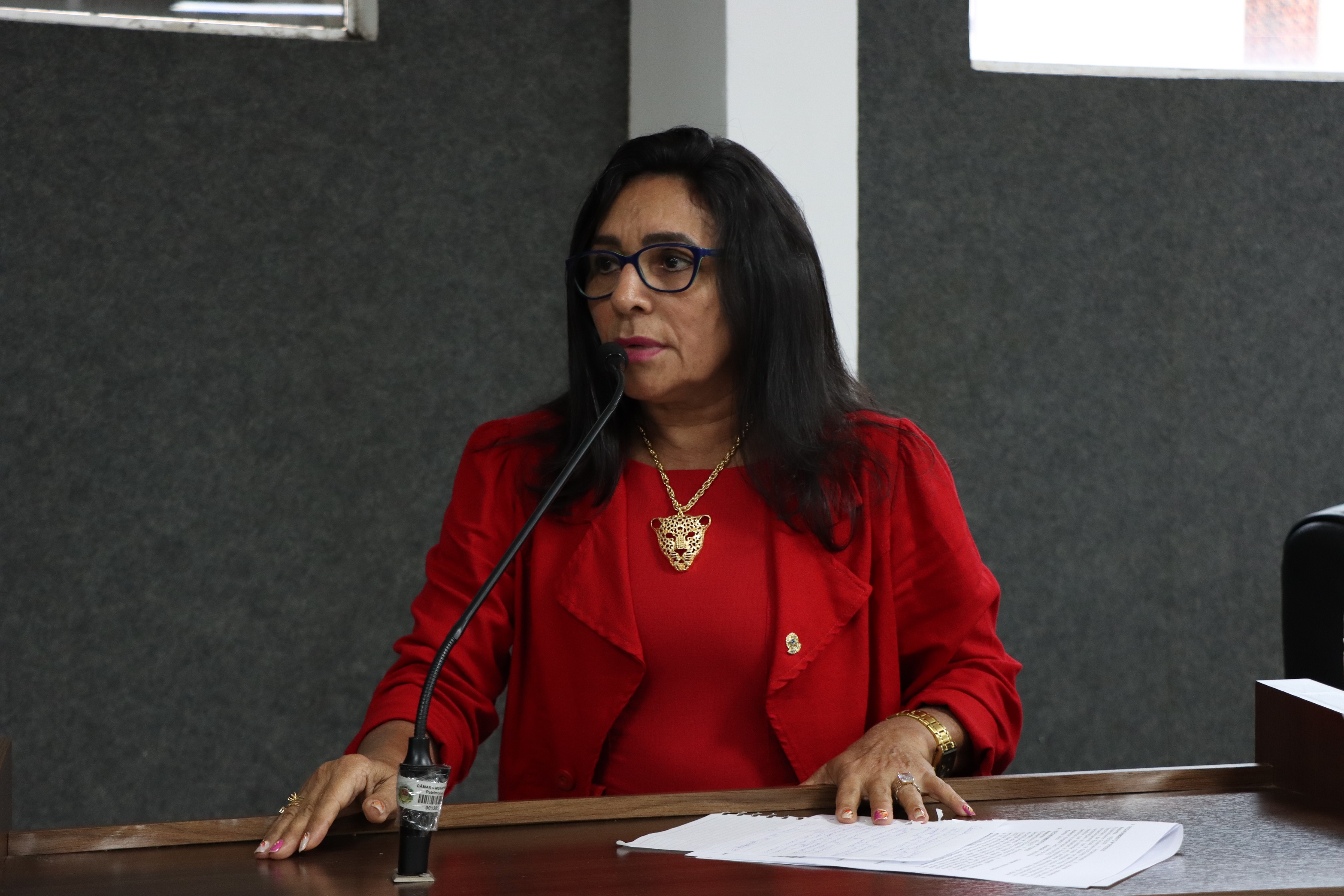 Câmara aprova projeto de lei que declara de utilidade pública o Instituto Centro de Vida