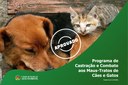 Câmara de Alta Floresta aprova lei que cria o programa de castração e combate aos maus-tratos de cães e gatos