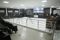 Câmara Municipal de Alta Floresta aprova indicação para poda de árvores sob rede elétrica de alta tensão