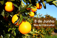 Dia do Citricultor