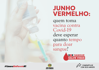 Junho Vermelho: quem toma vacina contra Covid-19 deve esperar quanto tempo para doar sangue?