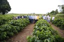 Produtores de café serão contemplados com agroindústria e assistência técnica em Alta Floresta