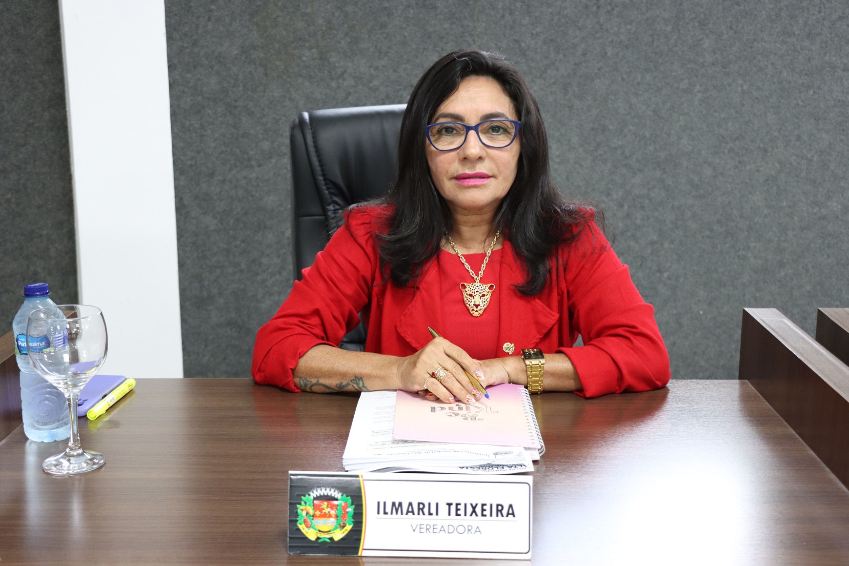 Projeto de Lei da vereadora Ilmarli Teixeira declara de utilidade pública a MORHAN 