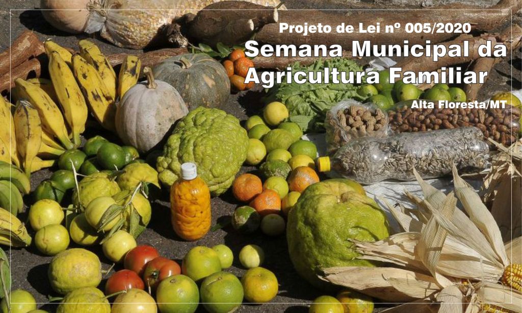 Projeto de Lei institui a Semana da Agricultura Familiar em Alta Floresta