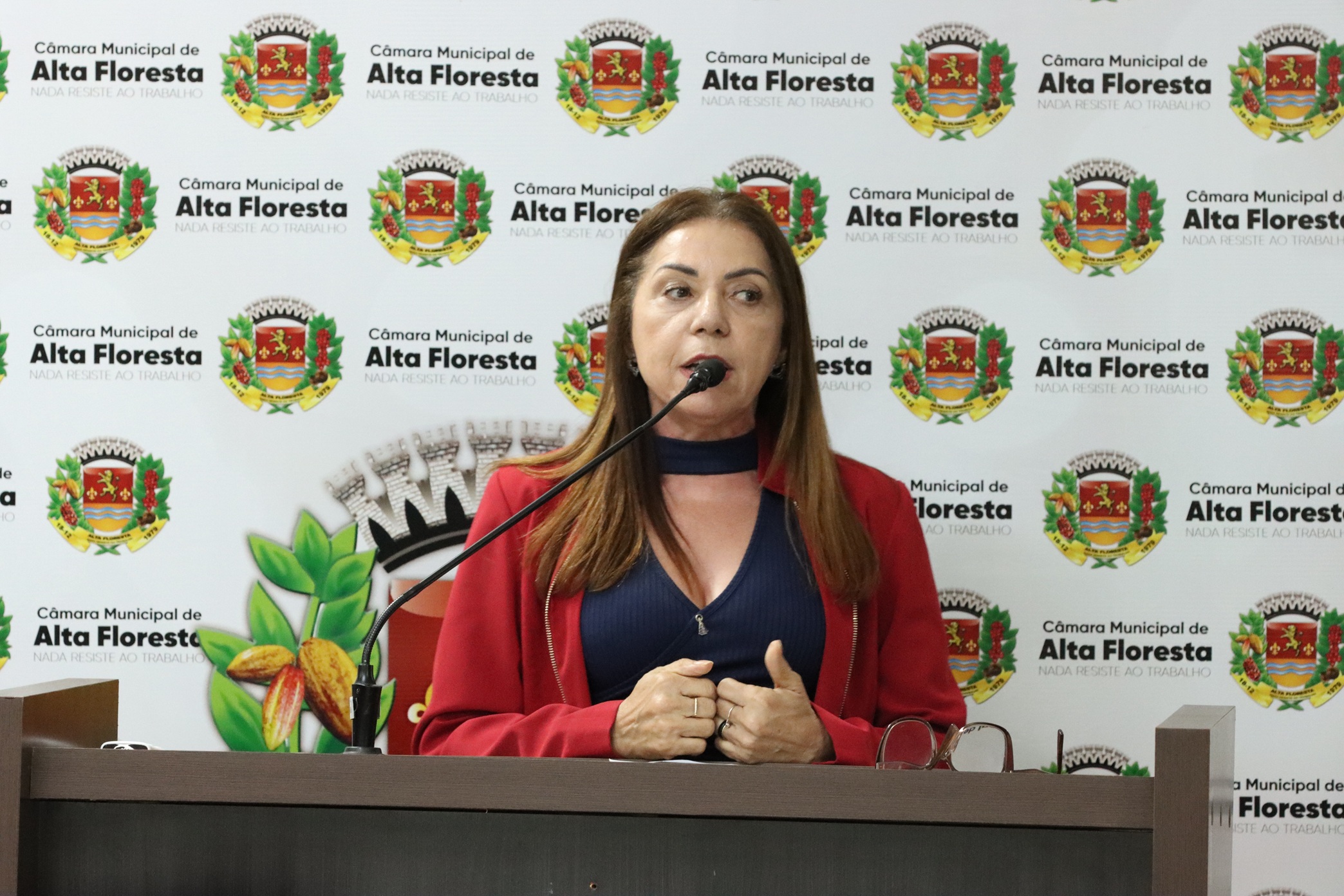 Vereadora Elisa Gomes propõe revisão de lei para tornar mais justa cobrança de licenciamento ambiental em Alta Floresta