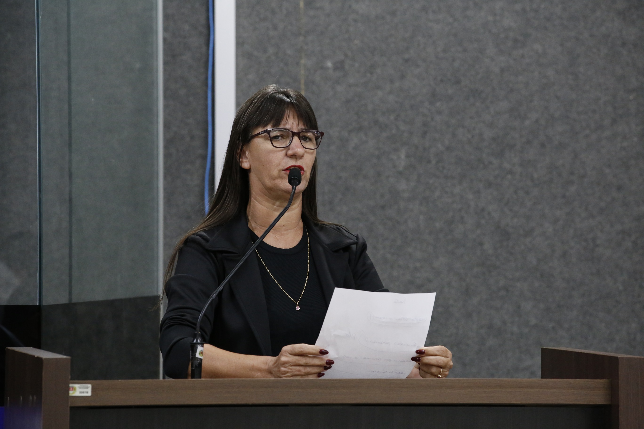 Vereadora Leonice destaca recuperação de ponte na Rua Jardim Tangará